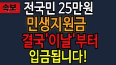 [생활꿀팁] 2025 전 국민 민생지원금