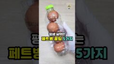 [생활꿀팁] 평생 써먹는 페트병 꿀팁 5가지