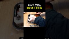 [생활꿀팁] 배달 용기 뜯는법