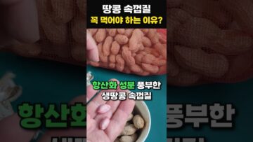 [생활꿀팁] 땅콩 속껍질, 버리면 손해! 항산화 보물 창고